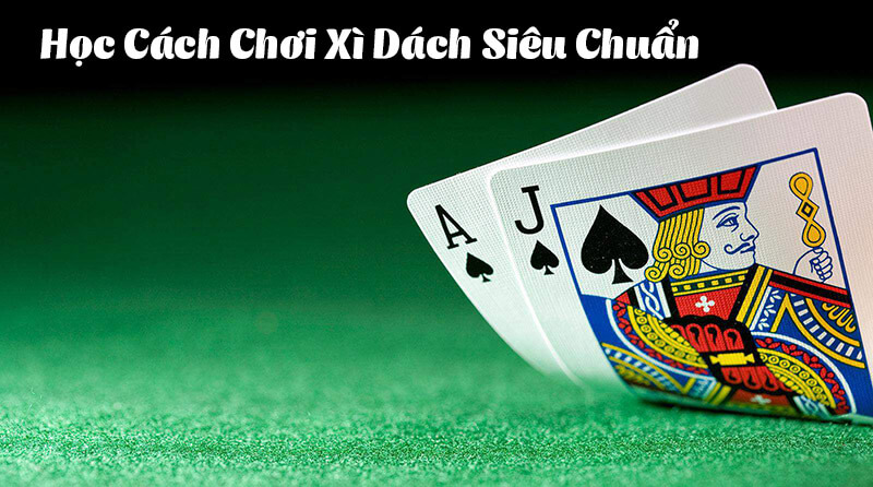 Hướng dẫn cách chơi xì dách siêu chuẩn cùng Nohu